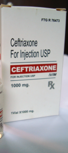 Setraxone (Ceftriaxone Sodium U.S.P.) 